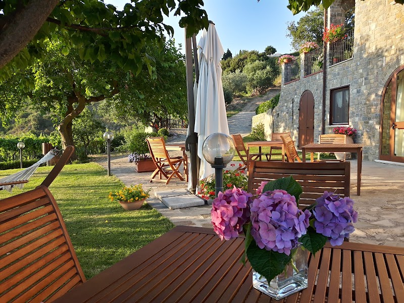 Foto dell'hotel