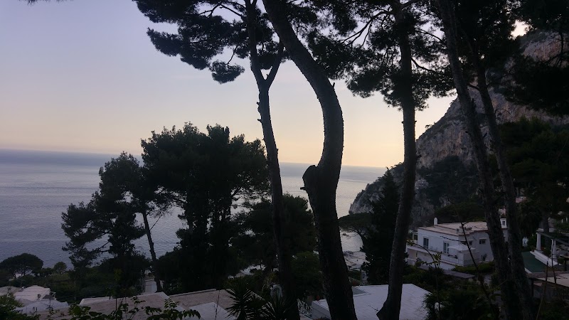 Foto dell'hotel