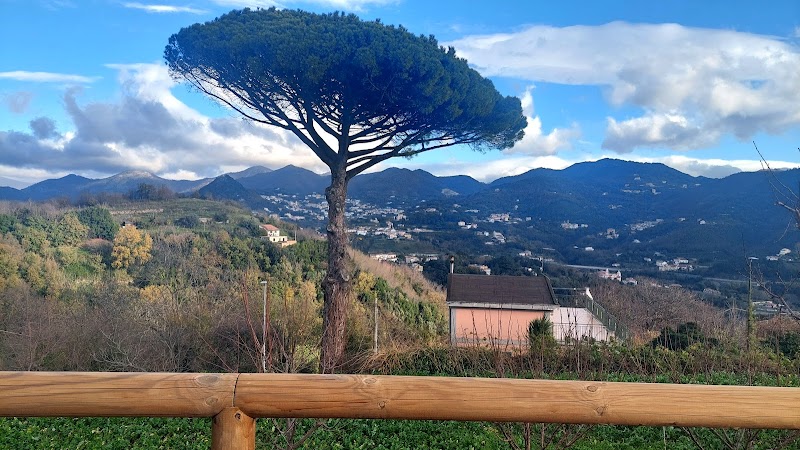 Foto dell'hotel