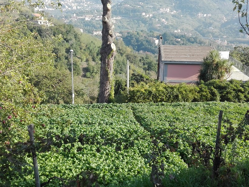 Foto dell'hotel