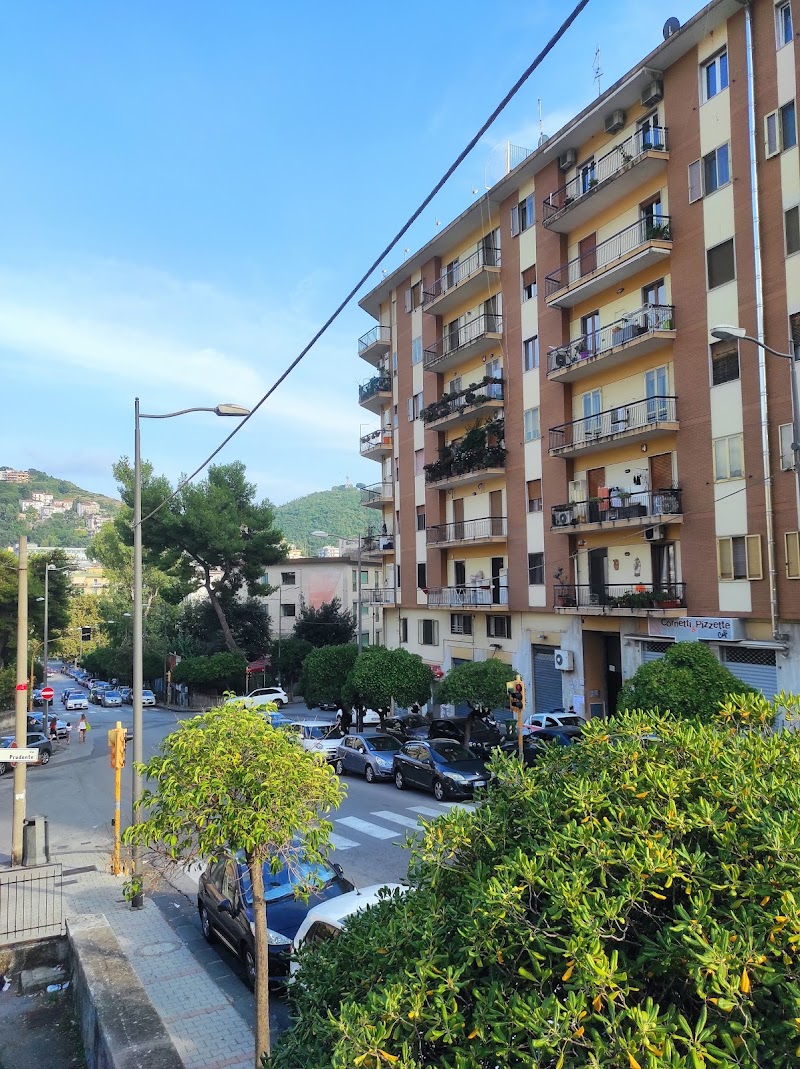 Foto Hotel