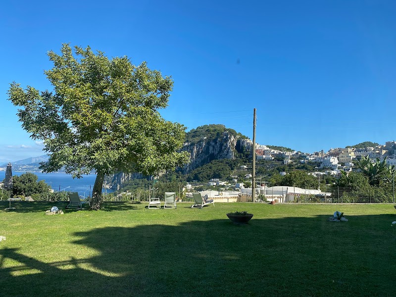 Foto dell'hotel